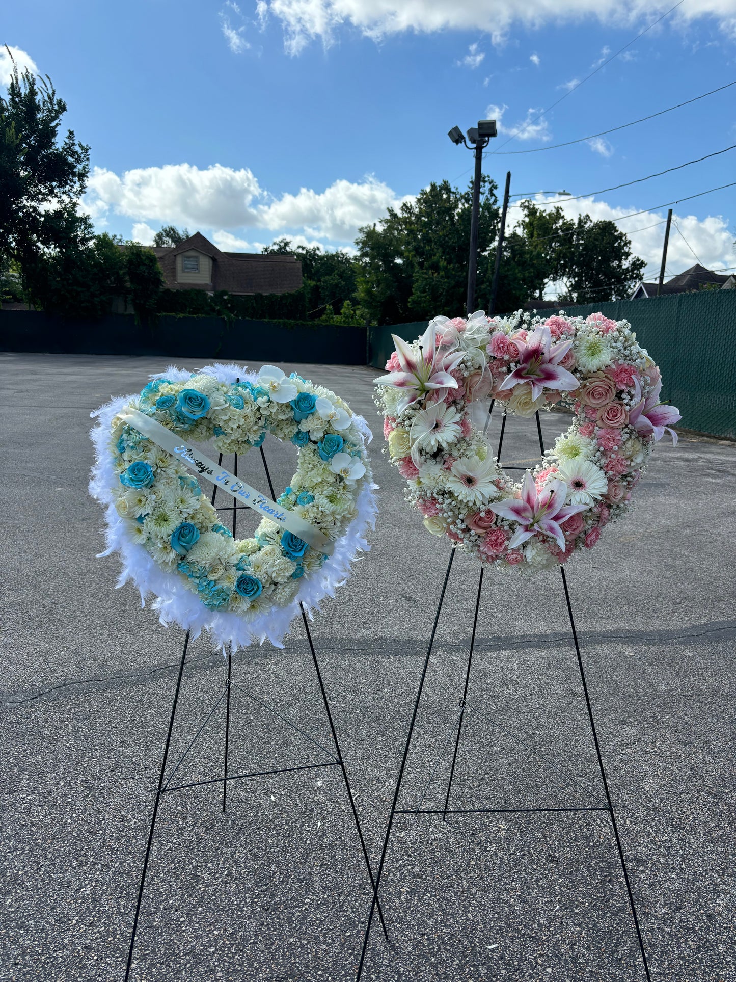Lilly sympathy open heart ποΈ