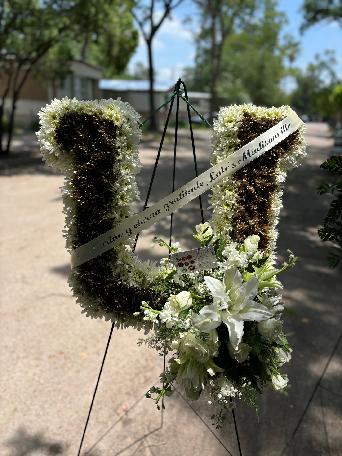 Horseshoe arrangement 🕊️